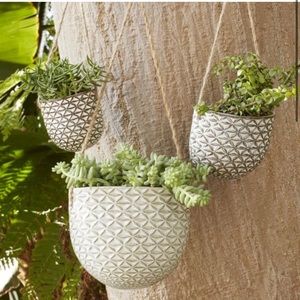 🪴West Elm - hanging textured ceramic planter